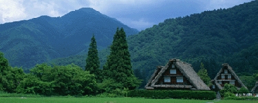 inocaodds.com Japanese Site